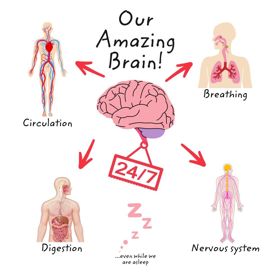 It's all about that brain! StartNow Cornwall